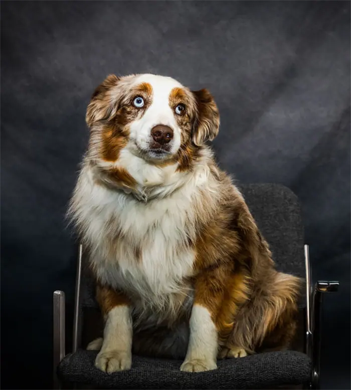 Tilly, Emotional Support